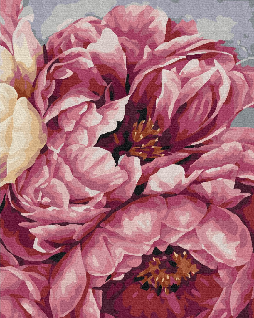 Maalaa numeroin Paint by numbers Flowering peonies