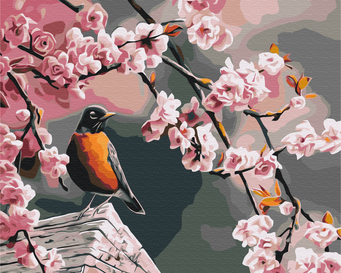 Maalaa numeroin Paint by numbers Bullfinch and sakura