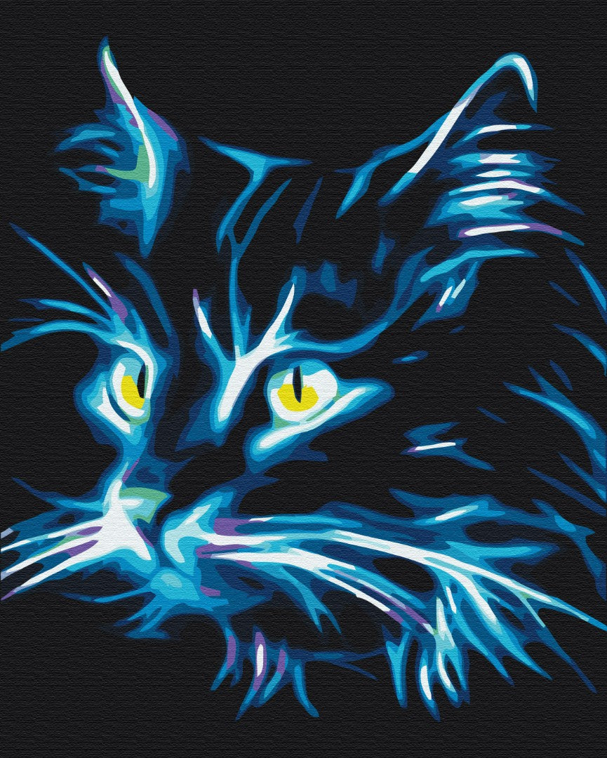 Maalaa numeroin Paint by numbers Neon cat