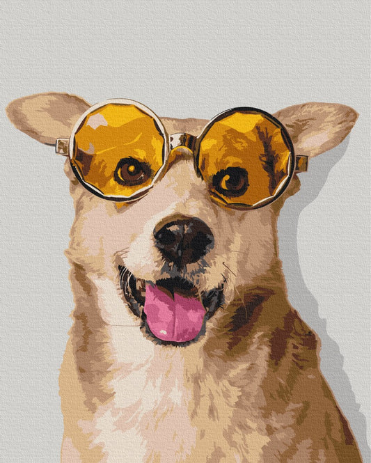 Maalaa numeroin Paint by numbers Corgi hipster