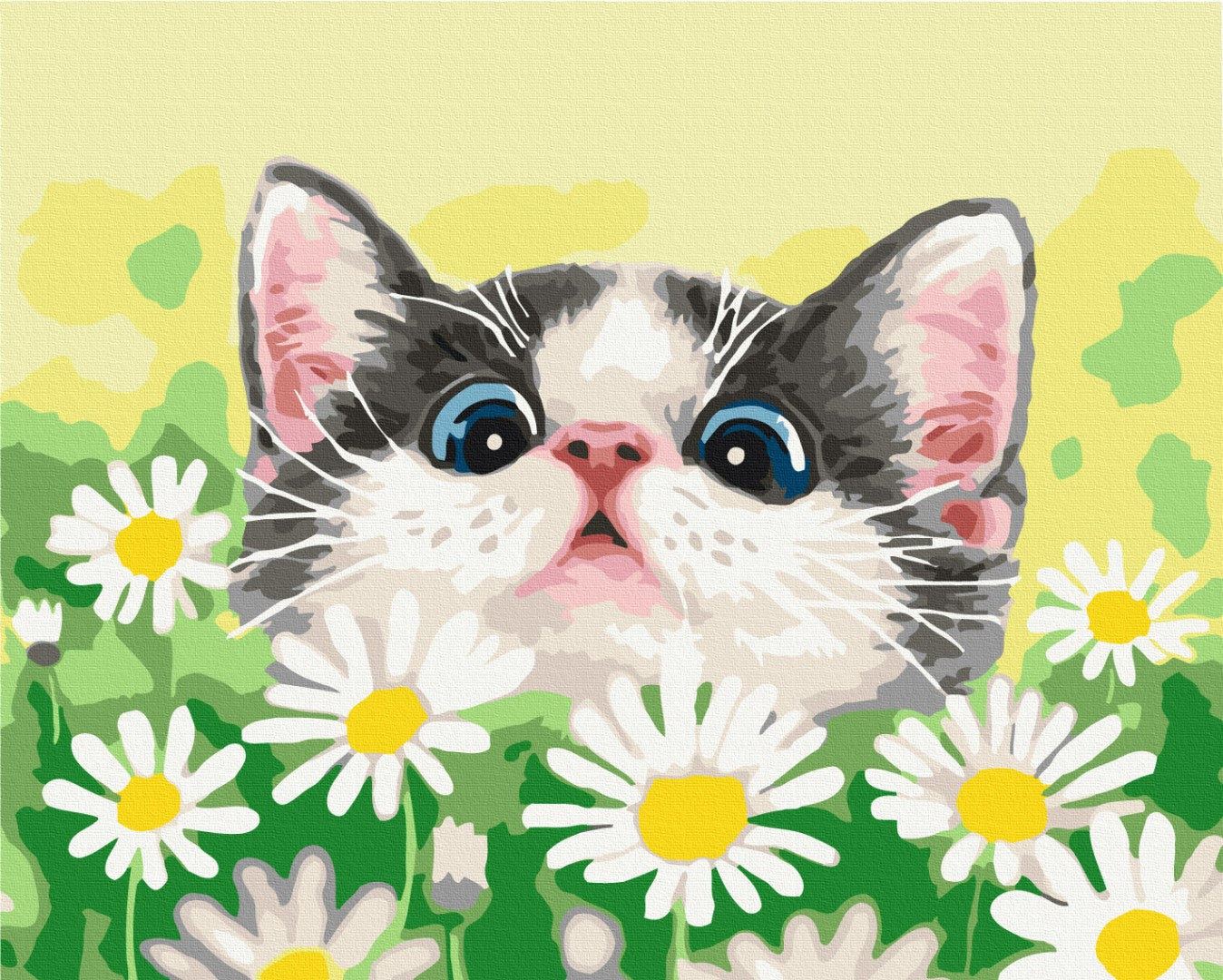 Maalaa numeroin Paint by numbers Cat in daisies