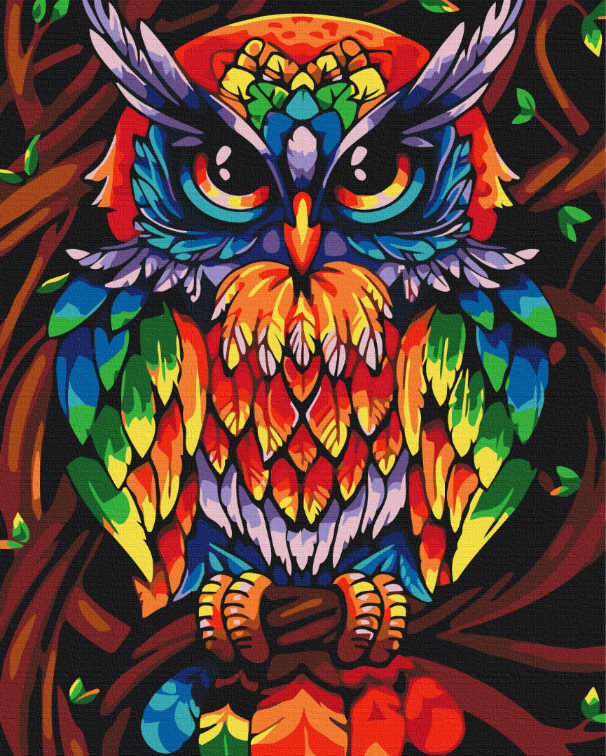 Maalaa numeroin Paint by numbers Rainbow wise owl
