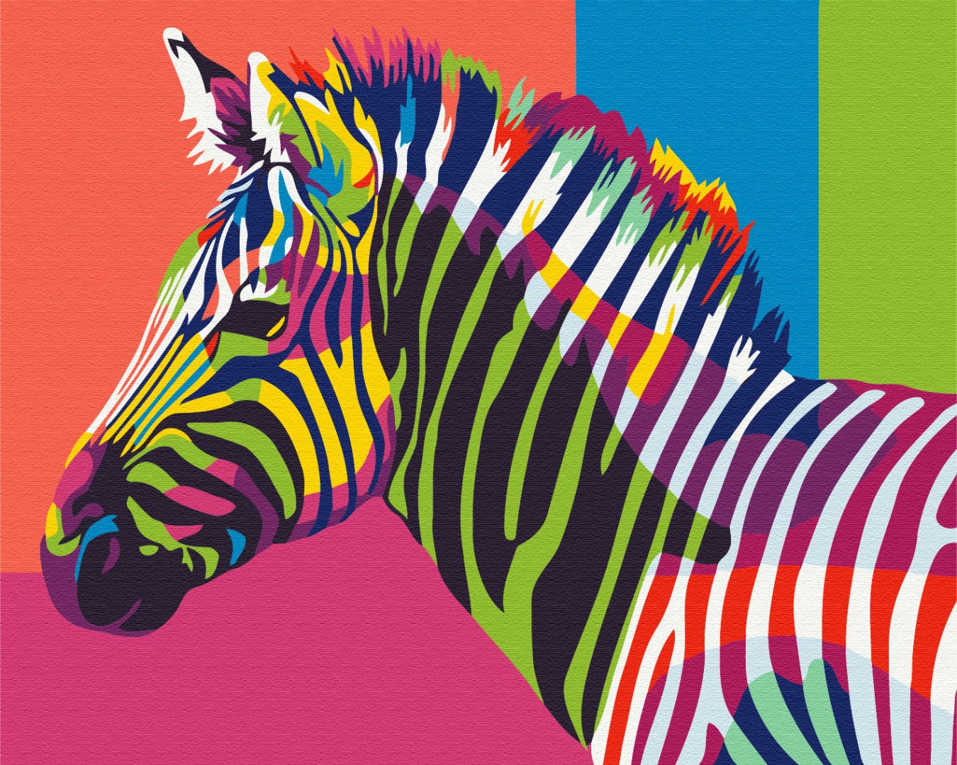 Maalaa numeroin Paint by numbers Rainbow zebra