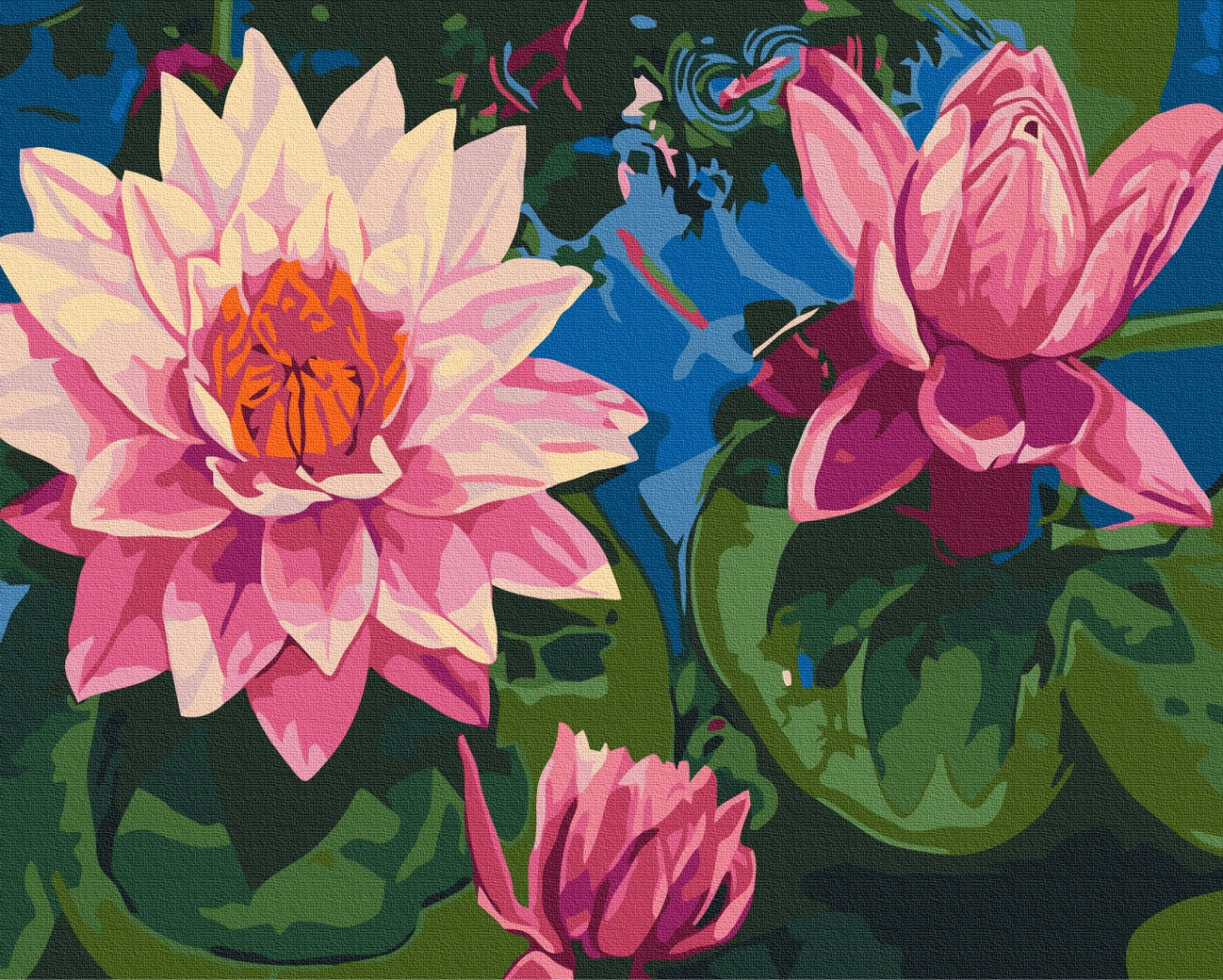 Maalaa numeroin Paint by numbers Water lily