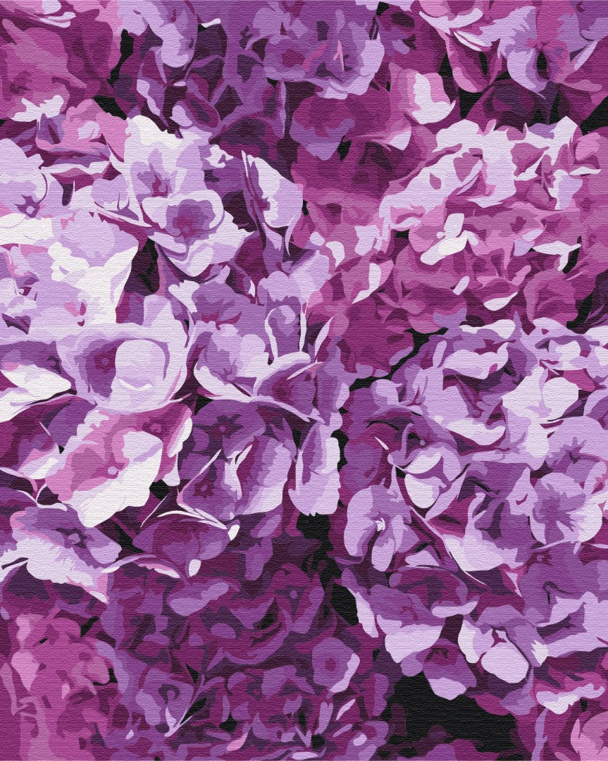 Maalaa numeroin Paint by numbers The beauty of hydrangeas