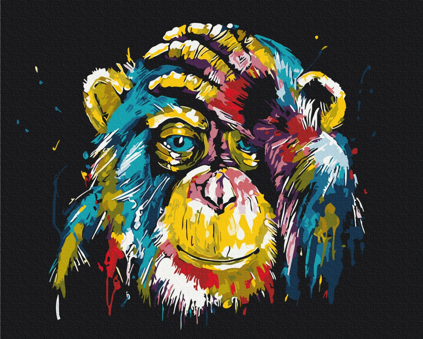 Maalaa numeroin Paint by numbers Colorful chimpanzee