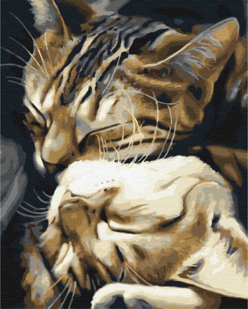 Maalaa numeroin Paint by numbers Sleeping cats