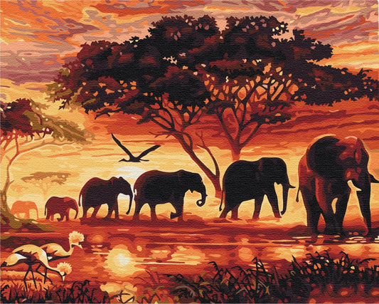 Maalaa numeroin Paint by numbers Elephants in the savannah