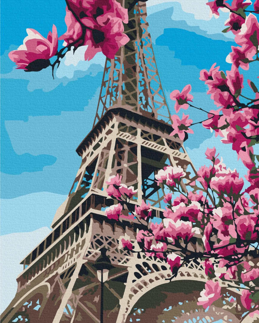 Maalaa numeroin Paint by numbers Magnolia Blossom in Paris