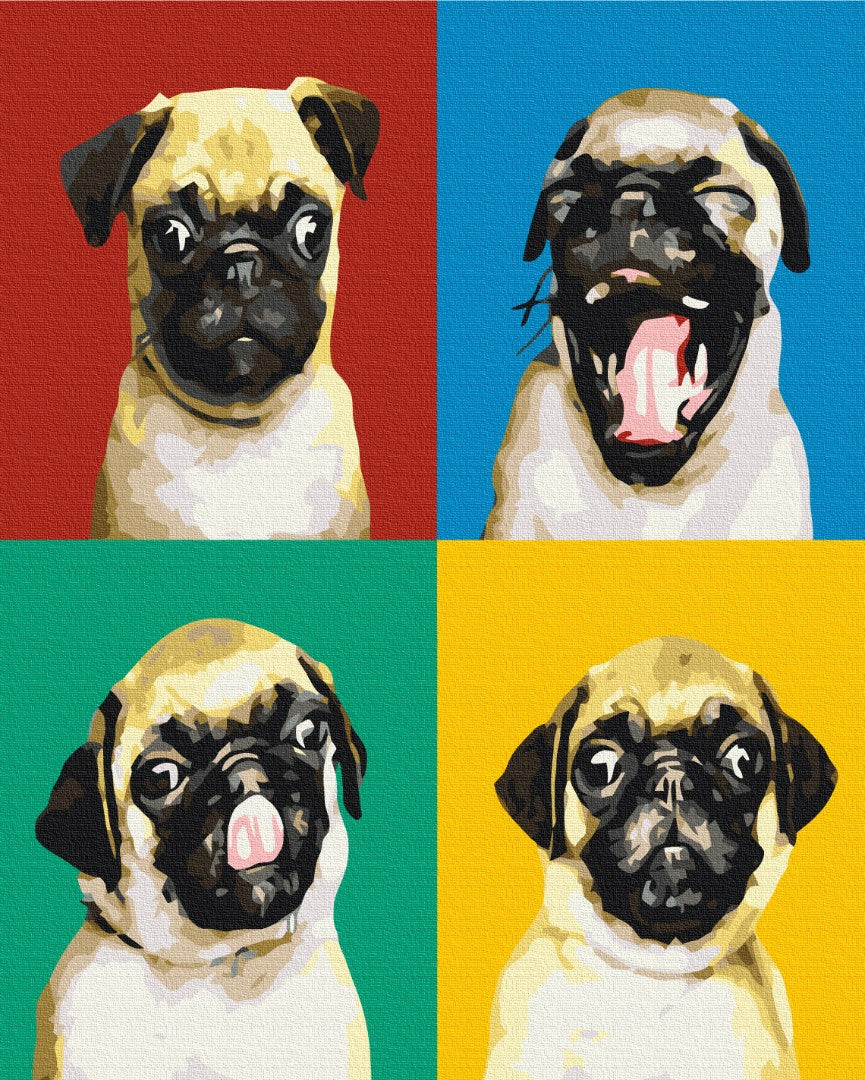 Maalaa numeroin Paint by numbers Collage with a pug