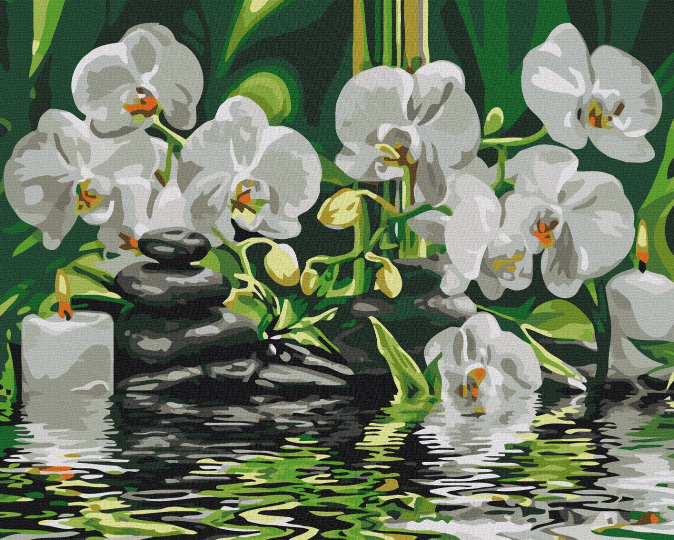 Maalaa numeroin Paint by numbers Calm near orchids