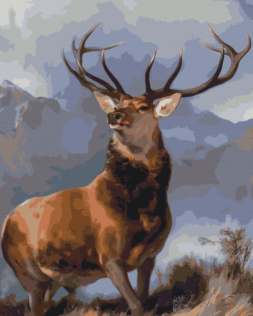 Maalaa numeroin Paint by numbers Red deer