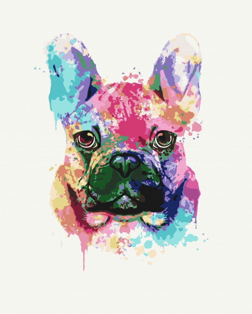 Maalaa numeroin Paint by numbers Colorful bulldog