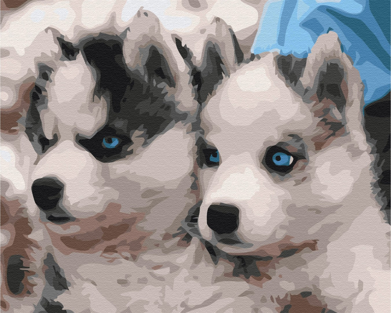 Maalaa numeroin Paint by numbers Husky puppies