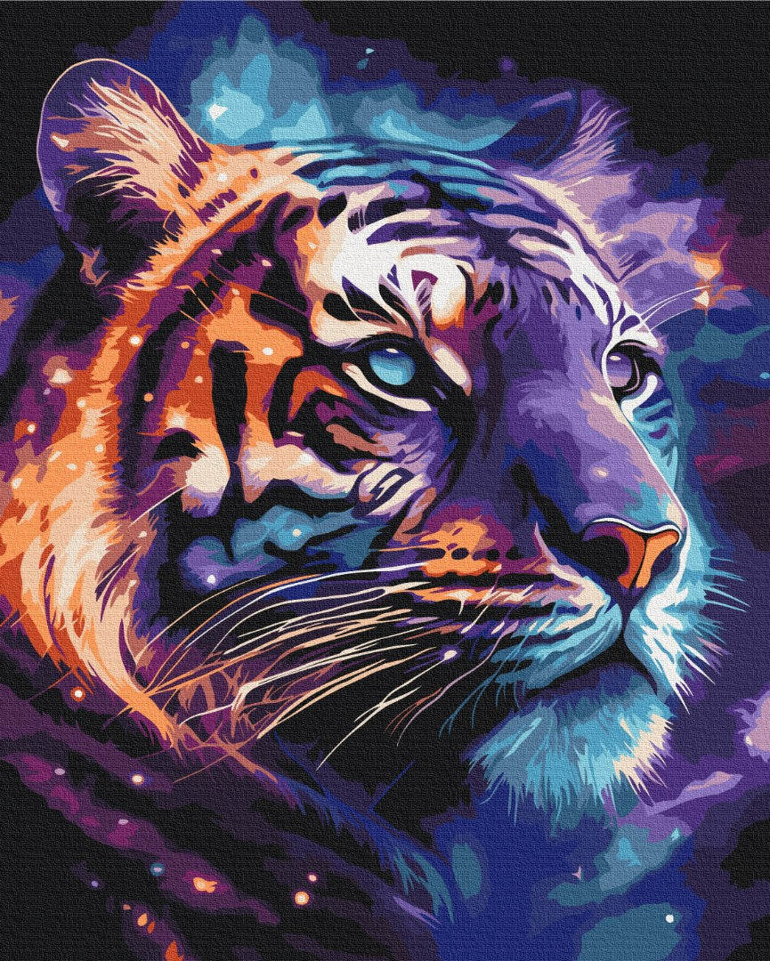 Maalaa numeroin Paint by numbers Space tiger