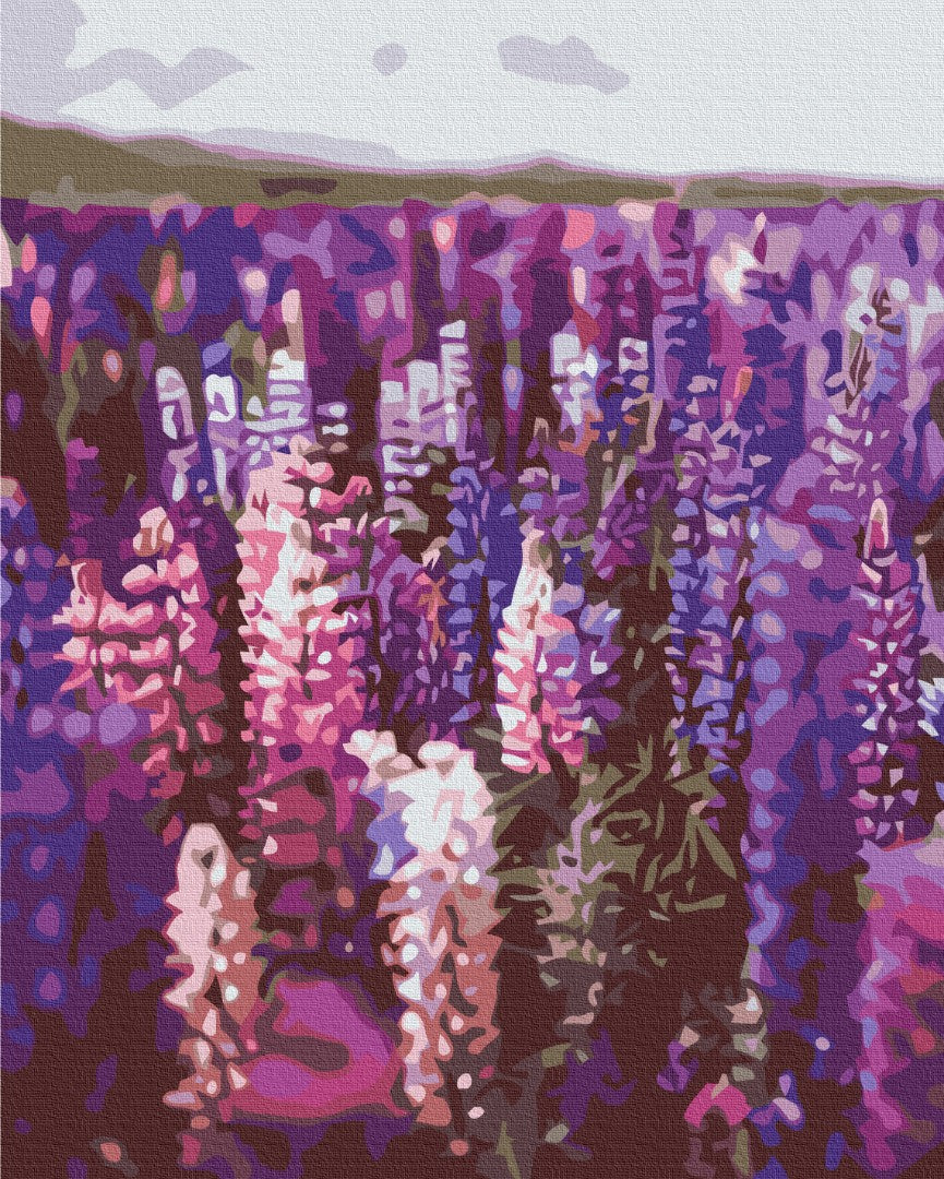 Maalaa numeroin Paint by numbers Lavender