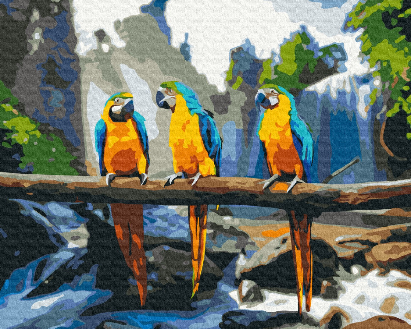 Maalaa numeroin Paint by numbers Tropical macaw