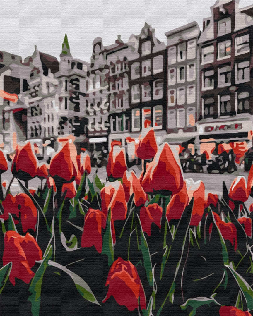 Maalaa numeroin Paint by numbers Tulips Amsterdam
