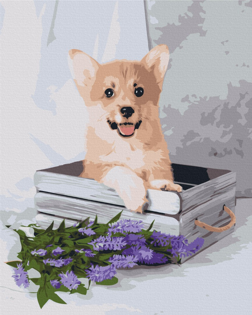 Maalaa numeroin Paint by numbers Playful corgi