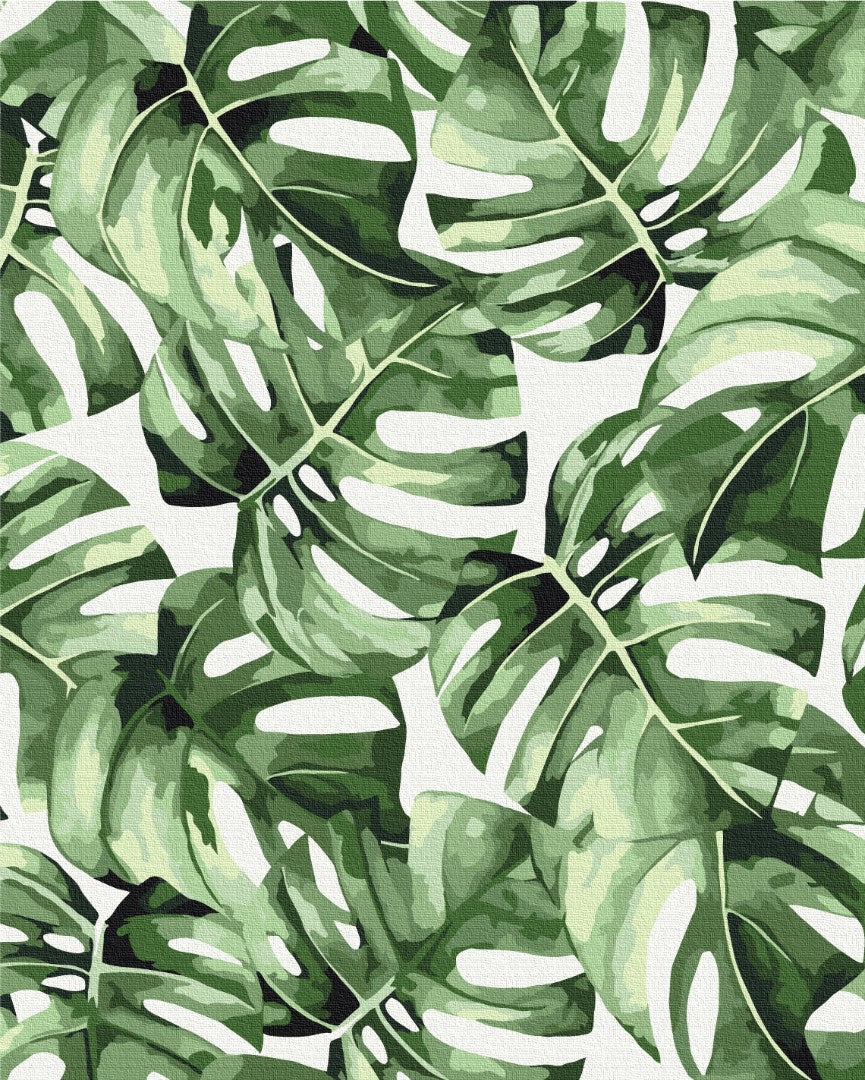 Maalaa numeroin Paint by numbers Exotic monstera