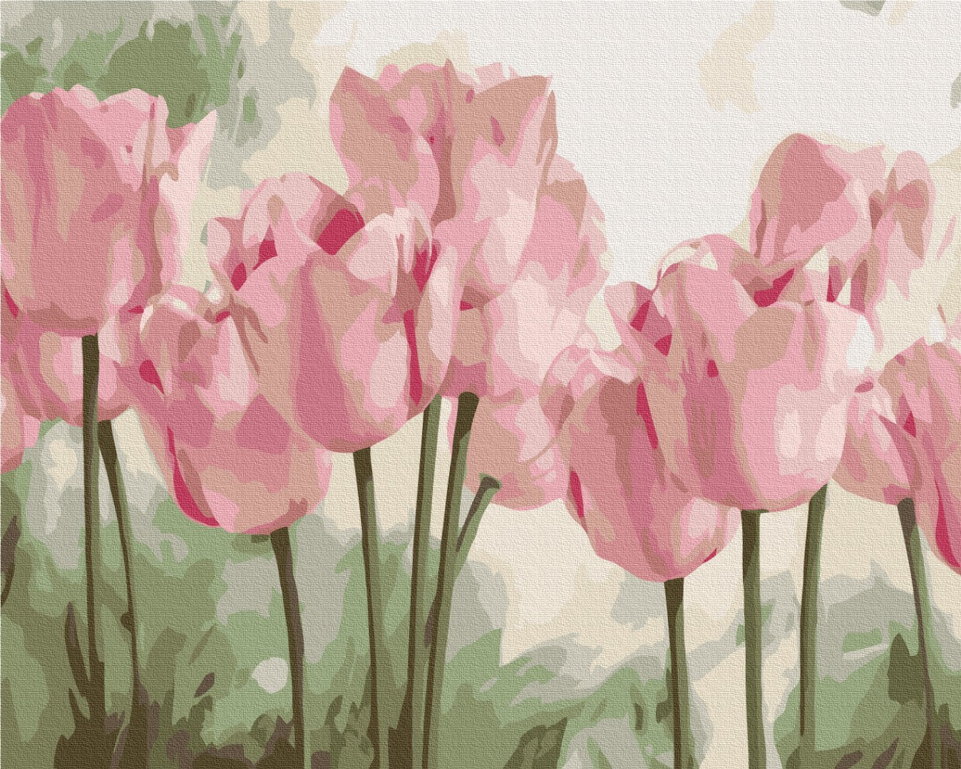 Maalaa numeroin Paint by numbers Delicate tulips