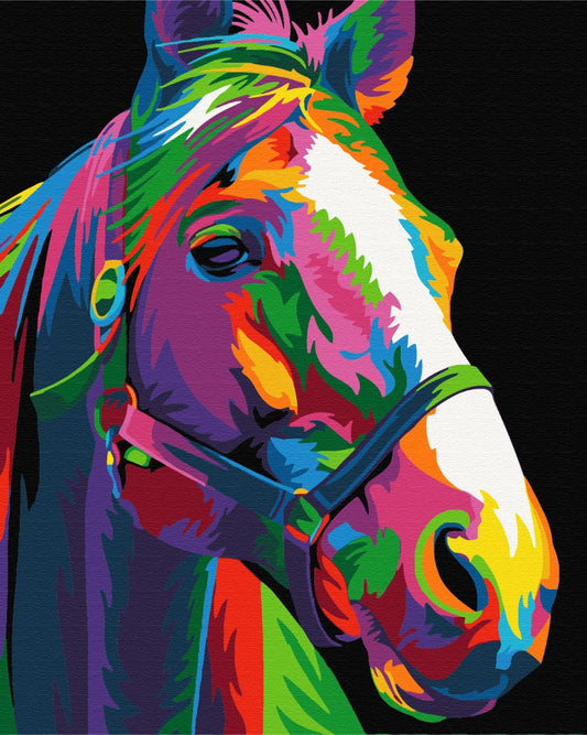 Maalaa numeroin Paint by numbers Rainbow steed