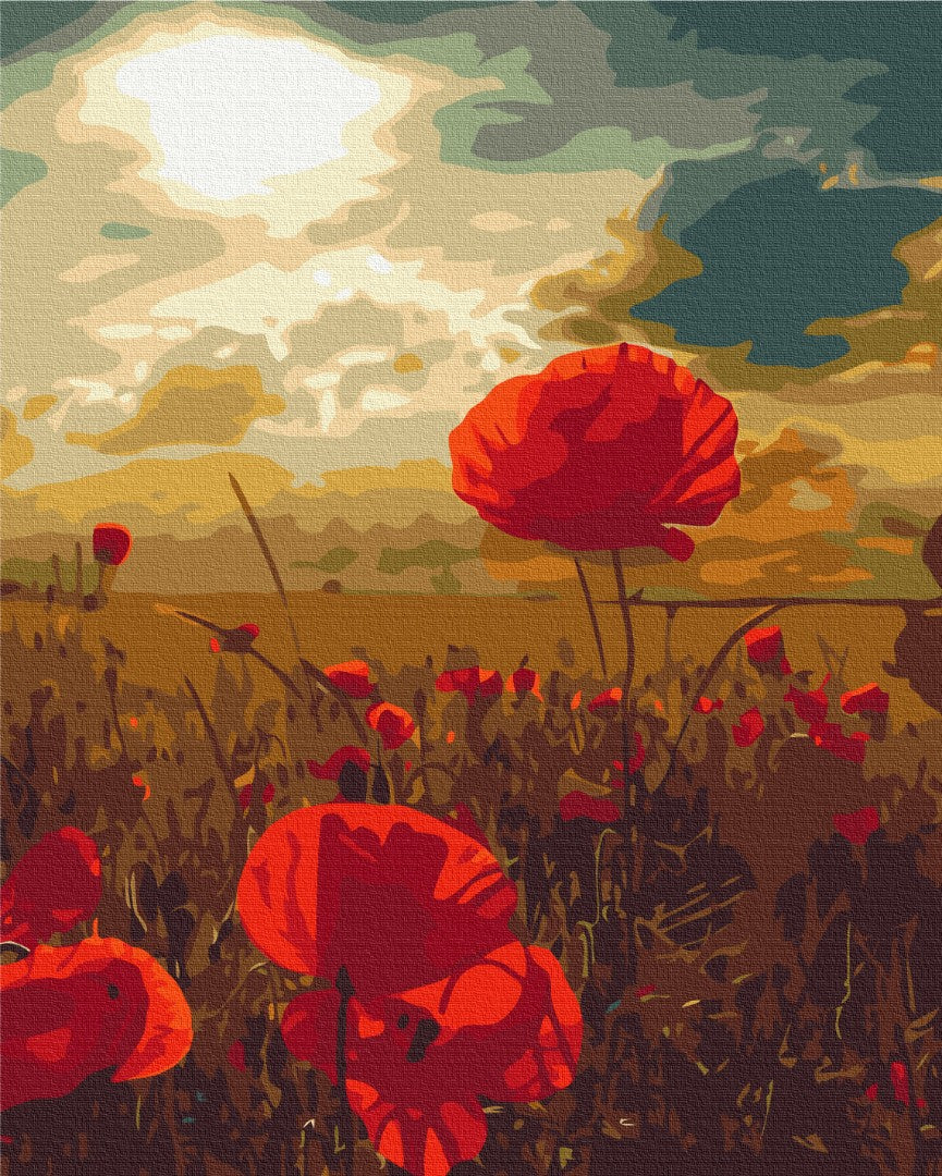 Maalaa numeroin Paint by numbers Poppies under the scorching sun