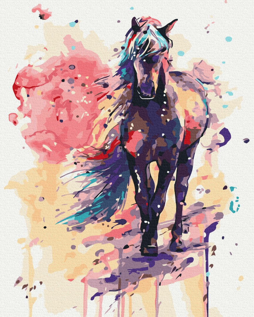 Maalaa numeroin Paint by numbers Fantastic horse
