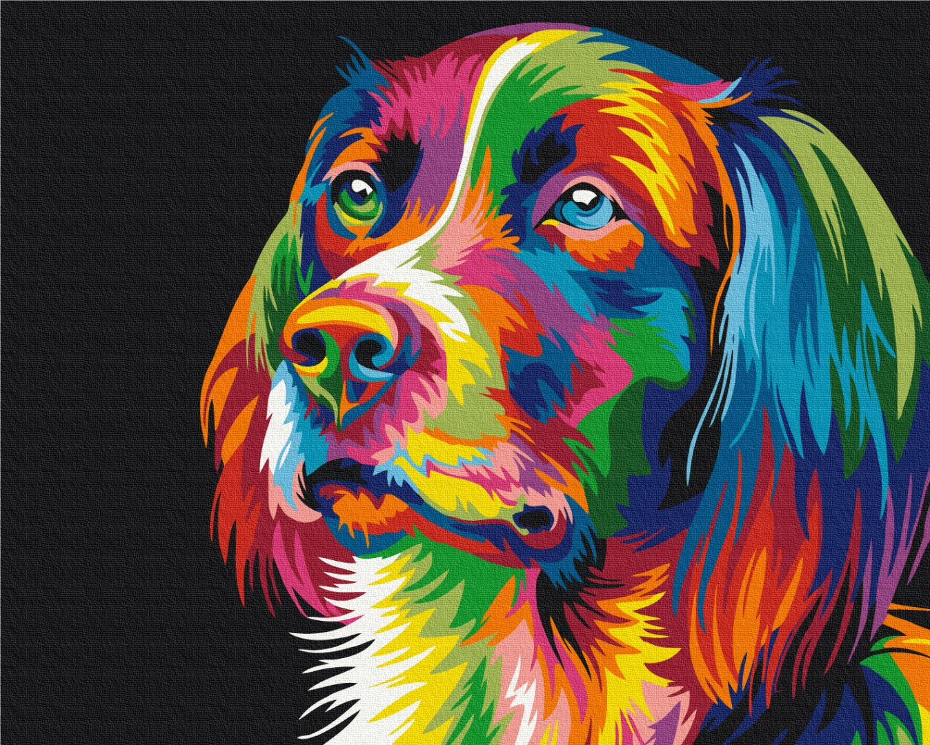 Maalaa numeroin Paint by numbers Rainbow dog