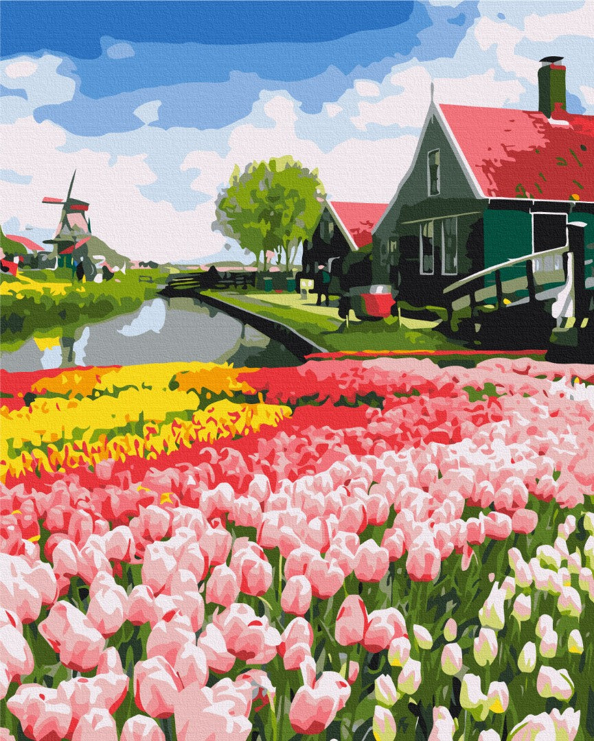 Maalaa numeroin Paint by numbers Dutch province