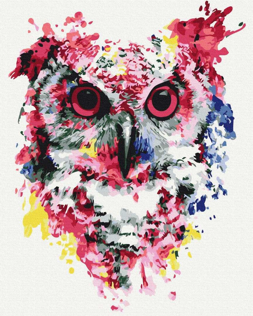 Maalaa numeroin Paint by numbers Owl in paints