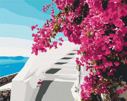 Maalaa numeroin Paint by numbers Santorini flowers