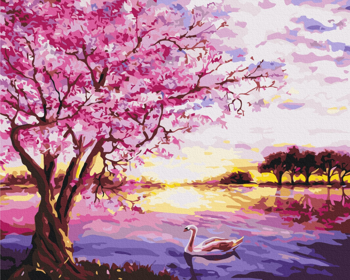 Maalaa numeroin Paint by numbers Sakura