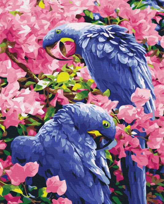 Maalaa numeroin Paint by numbers Birds in flowers