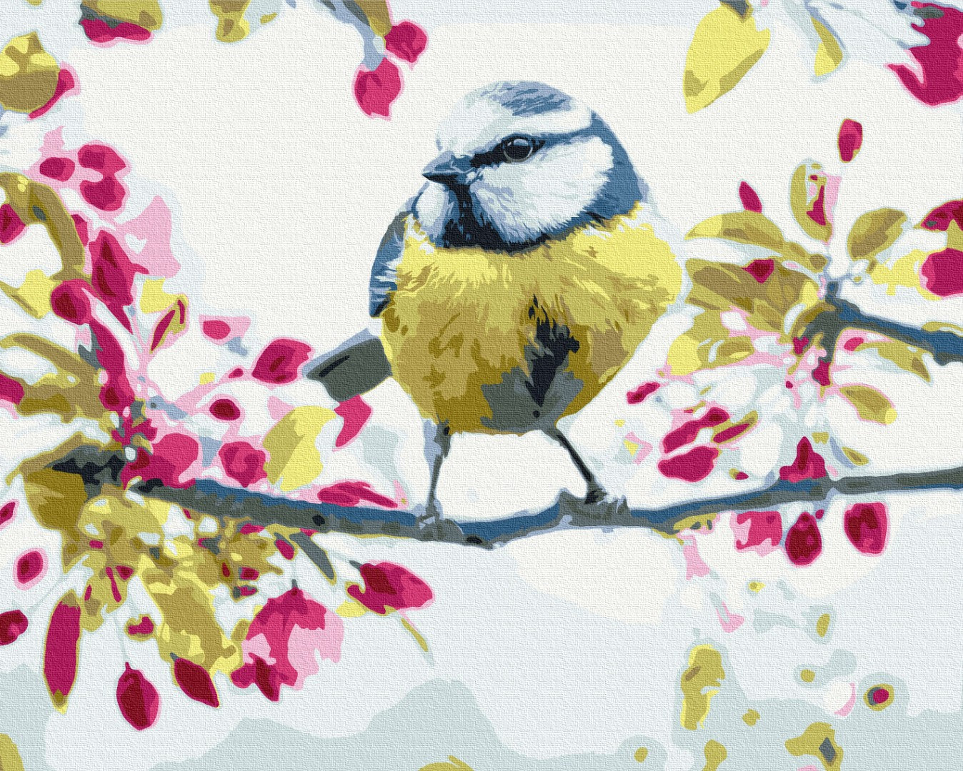 Maalaa numeroin Paint by numbers Spring tit