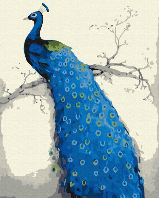 Maalaa numeroin Paint by numbers Blue peacock