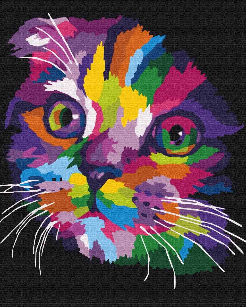 Maalaa numeroin Paint by numbers Rainbow kitten
