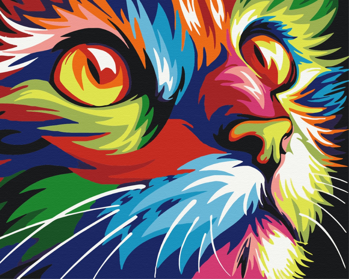 Maalaa numeroin Paint by numbers Rainbow cat