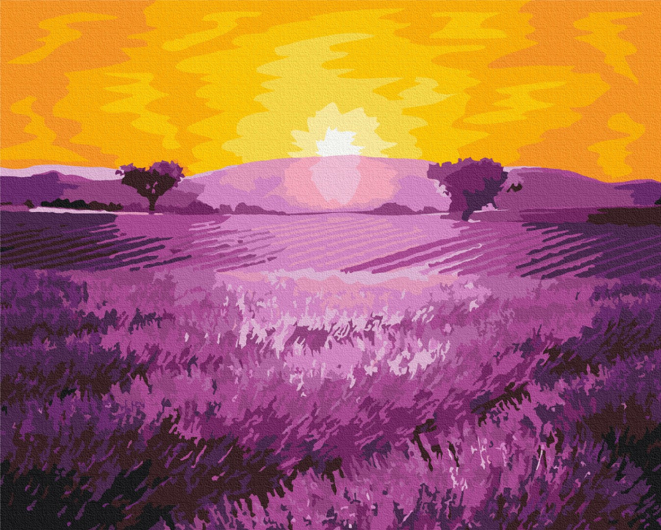 Maalaa numeroin Paint by numbers Sunrise over lavender