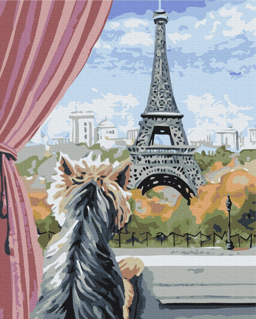 Maalaa numeroin Paint by numbers Paris from the window