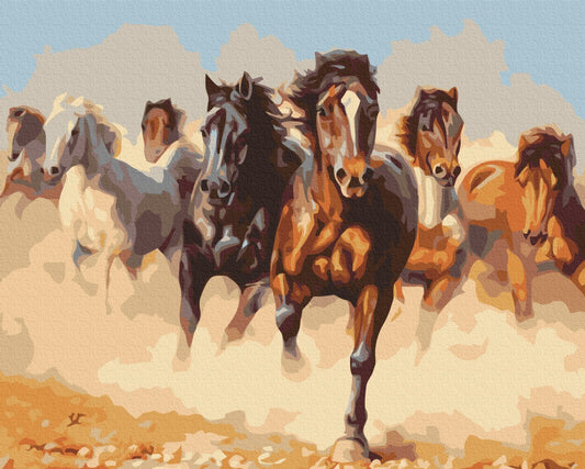 Maalaa numeroin Paint by numbers Horses