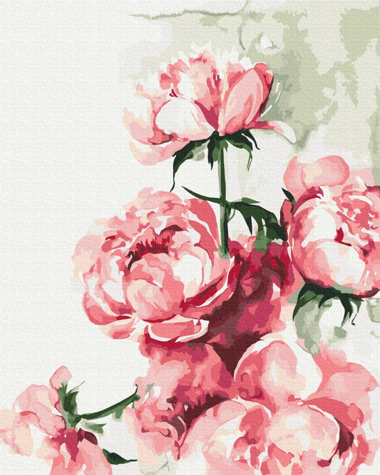 Maalaa numeroin Paint by numbers Watercolor peonies ©Karolina Bundash