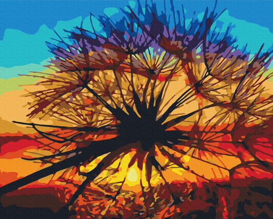 Maalaa numeroin Paint by numbers Dandelion at summer sunset