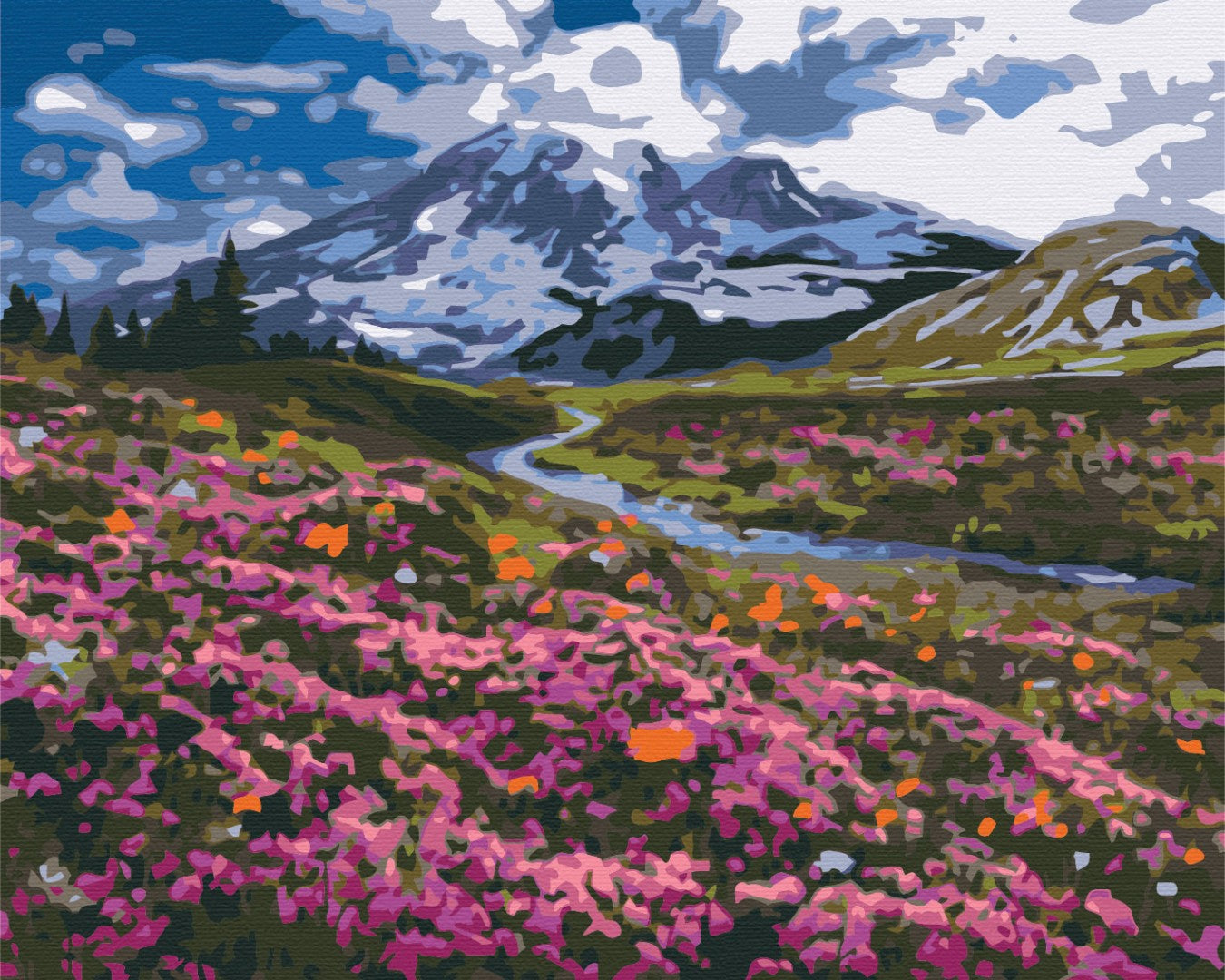 Maalaa numeroin Paint by numbers Alpine meadow