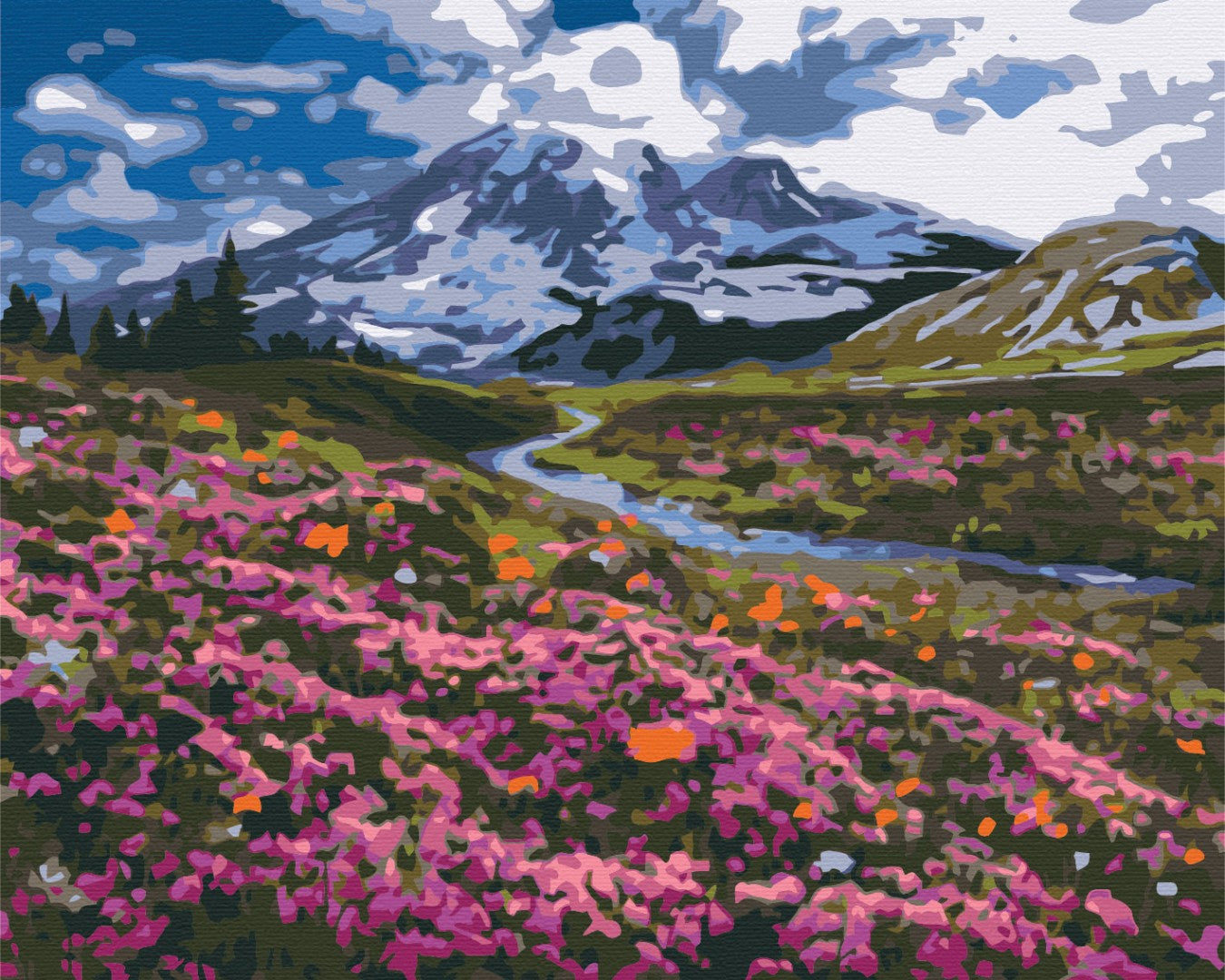 Maalaa numeroin Paint by numbers Alpine meadow