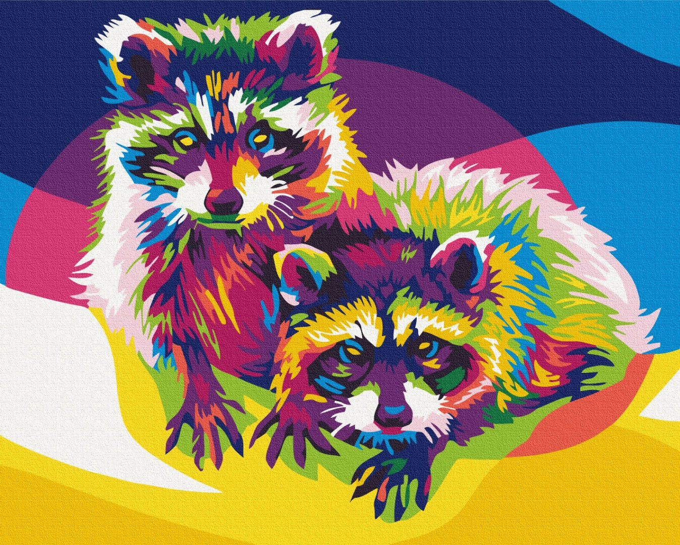 Maalaa numeroin Paint by numbers Rainbow raccoons