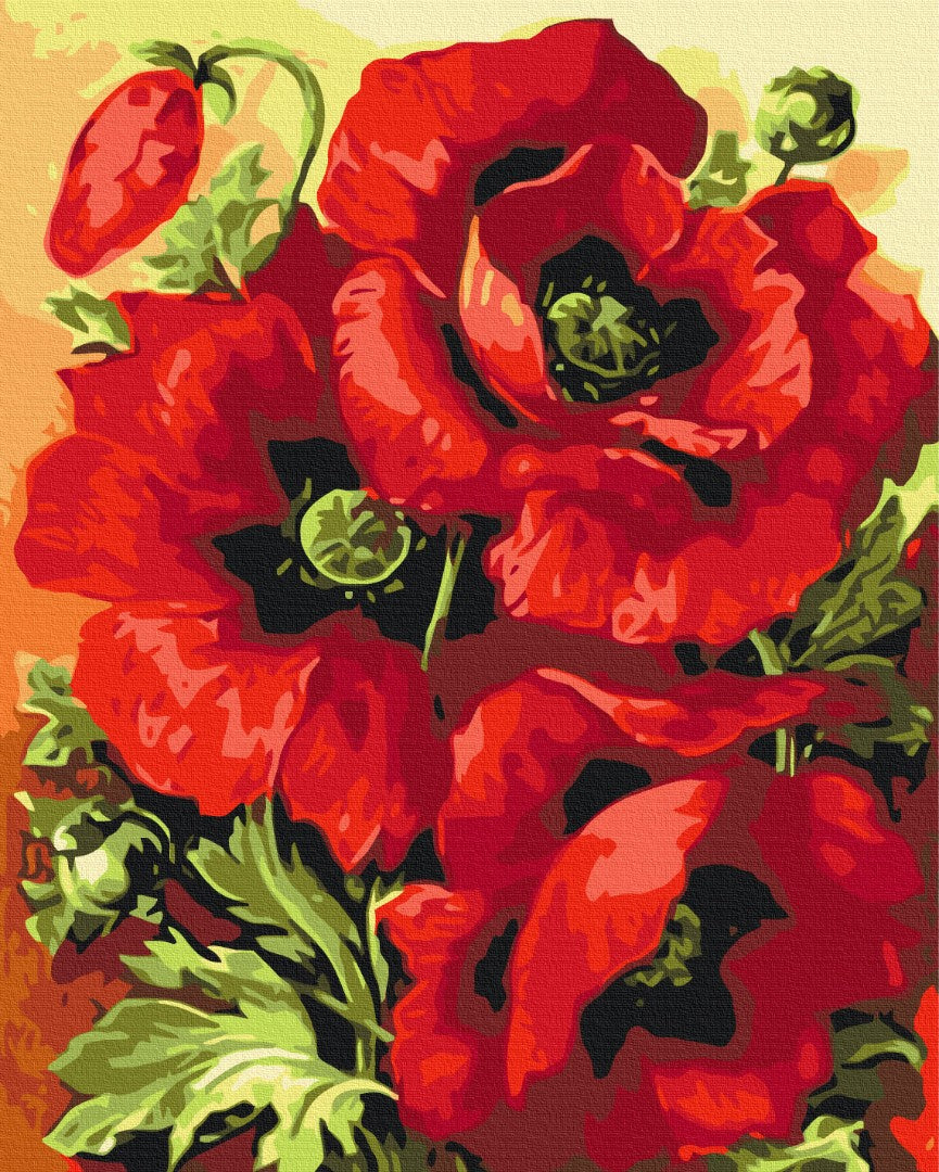 Maalaa numeroin Paint by numbers Print in poppies