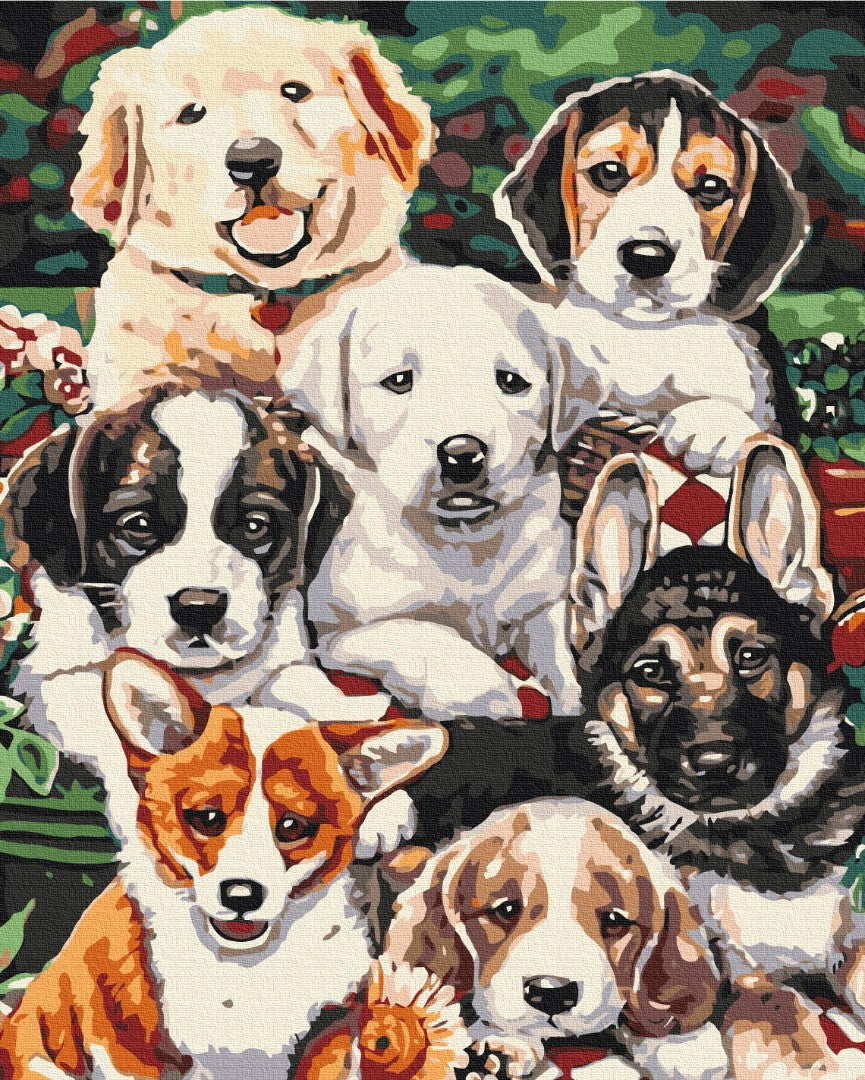 Maalaa numeroin Paint by numbers Puppies