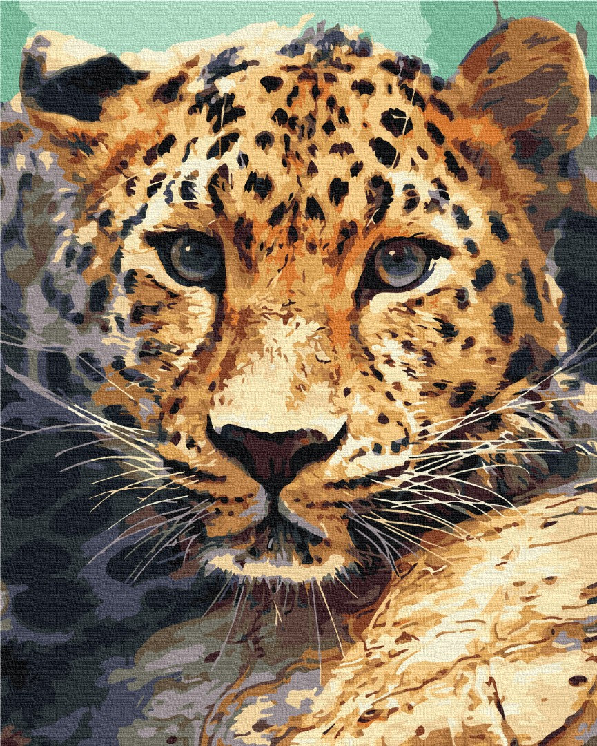 Maalaa numeroin Paint by numbers Leopard portrait