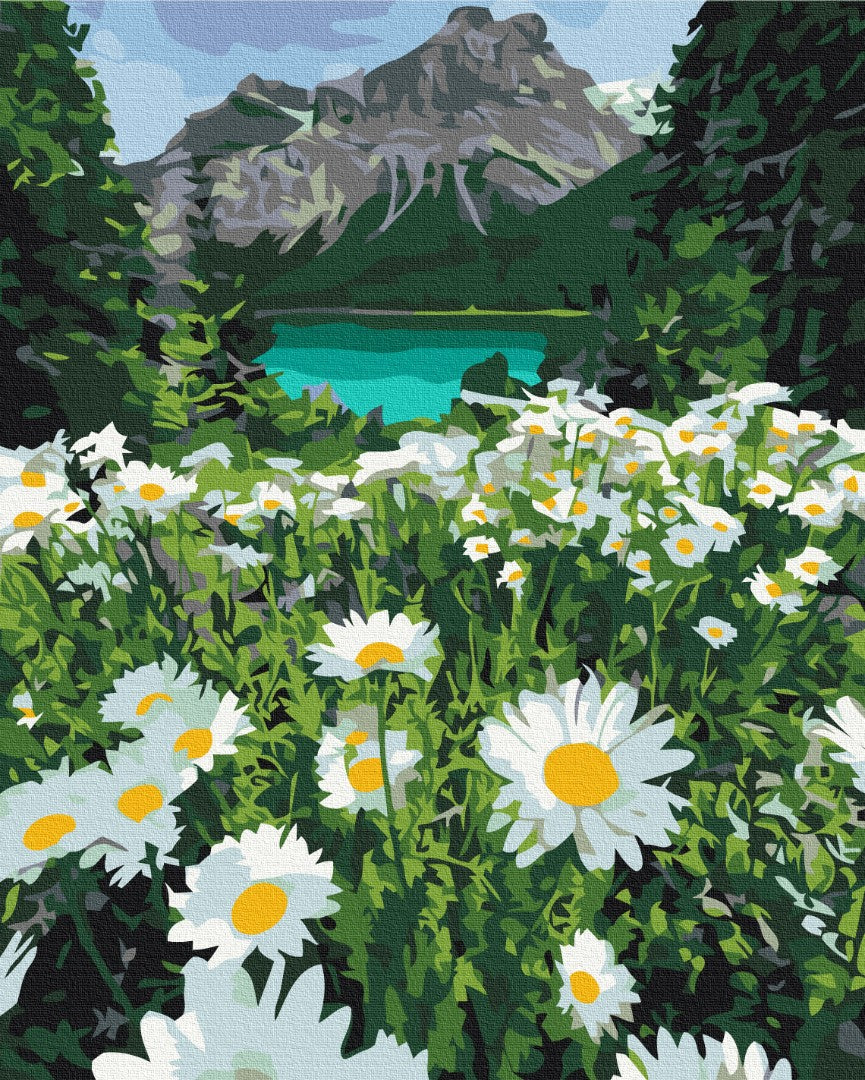 Maalaa numeroin Paint by numbers Daisies by the mountains